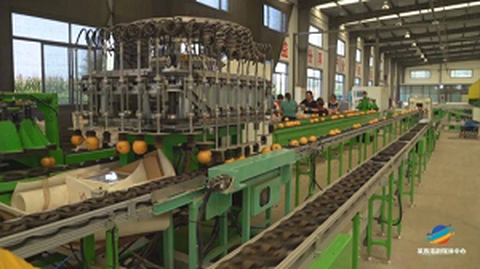 Forum usług standaryzacji pochodzenia pierwszych owoców