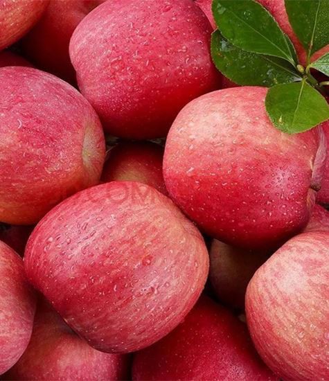 Wszystkie Rodzaje Jabłek