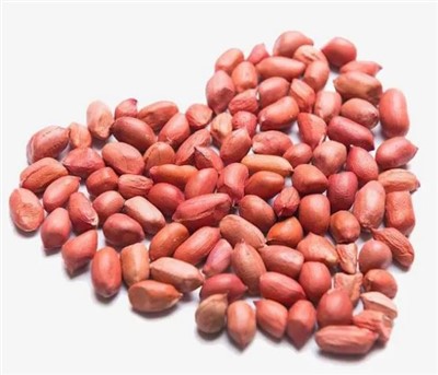 Świeże Wielcy Surowi Orzeszki ziemne