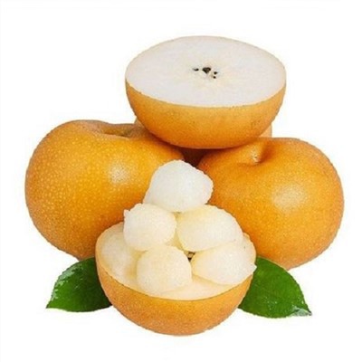 Azjatycka Gruszka Qiuyue