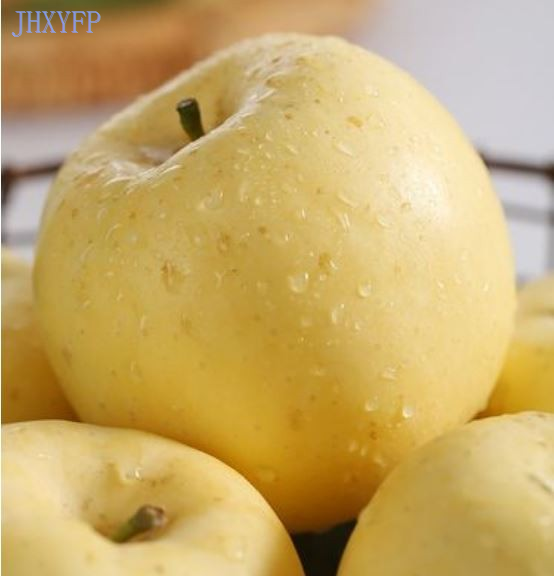 Yellow Apple Fruits